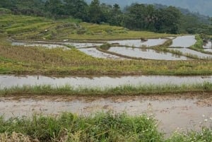 Excursão de 2 dias para a Reserva Natural Mai Chau Pu Luong