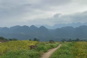 Excursão de 2 dias para a Reserva Natural Mai Chau Pu Luong
