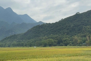 Excursão de 2 dias para a Reserva Natural Mai Chau Pu Luong