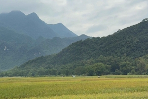 Excursão de 2 dias para a Reserva Natural Mai Chau Pu Luong