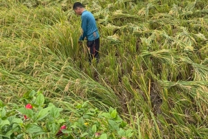 Excursão de 2 dias para a Reserva Natural Mai Chau Pu Luong
