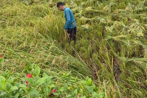Excursão de 2 dias para a Reserva Natural Mai Chau Pu Luong