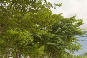 Excursão de 2 dias para a Reserva Natural Mai Chau Pu Luong