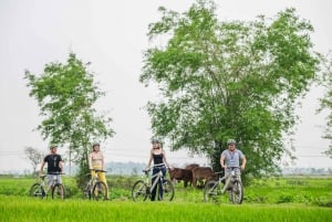 2 días en Ninh Binh: Hoa Lu/Bai Dinh- Trang An/Tam Coc- Cueva Mua
