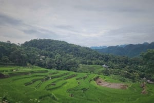 2 jours de trekking à Pu Luong Loop et nuit chez l'habitant