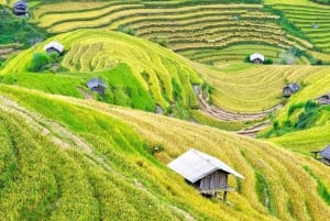 2 jours de trekking à Pu Luong Loop et nuit chez l'habitant