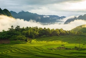 2 jours de trekking à Pu Luong Loop et nuit chez l'habitant