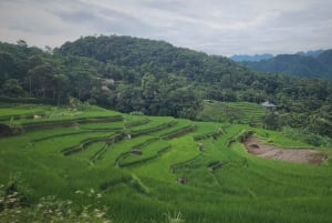 2 jours de trekking à Pu Luong Loop et nuit chez l'habitant