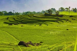 2 jours de trekking à Pu Luong Loop et nuit chez l'habitant