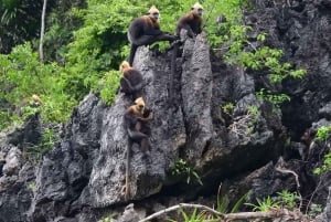 Aventura de 2 dias e 1 noite: Parque Nacional de Cat Ba, Baía de Lan Ha