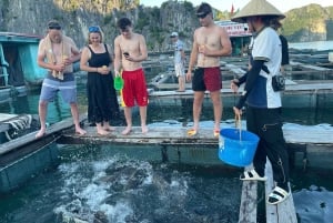 2 dage og 1 nat på eventyr: Cat Ba Nationalpark, Lan Ha-bugten