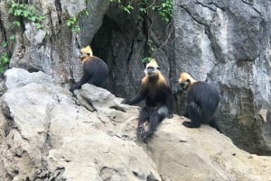 2 dage og 1 nat på eventyr: Cat Ba Nationalpark, Lan Ha-bugten