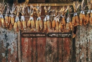 2 dage og 1 nat på eventyr: Cat Ba Nationalpark, Lan Ha-bugten