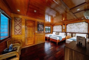 2日間のカットバ島とランハ湾、少人数グループ、全食事付き、チケット