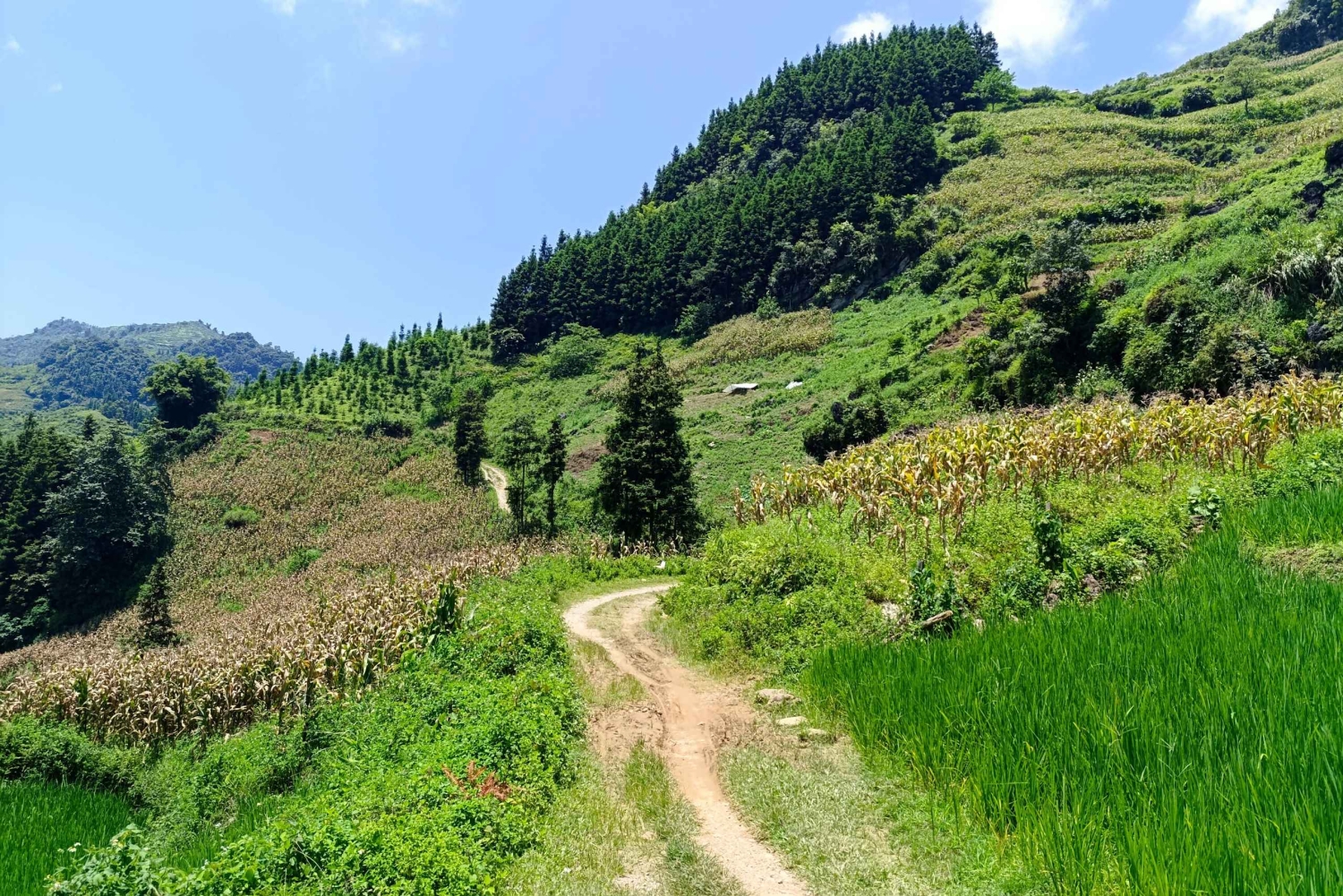 2D1N Wycieczka samochodem do dzielnicy Bac Ha: Przygoda i weekendowy targ