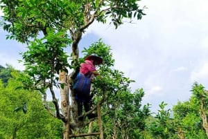 2D1N Car Tour to Bac Ha District: Adventure & Weekend Market