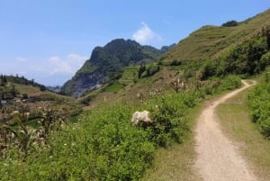 2D1N Car Tour to Bac Ha District: Adventure & Weekend Market