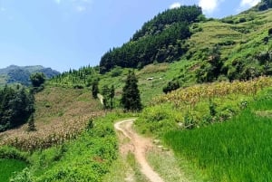 2D1N Wycieczka samochodem do dzielnicy Bac Ha: Przygoda i weekendowy targ