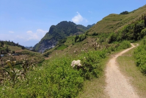 2D1N Wycieczka samochodem do dzielnicy Bac Ha: Przygoda i weekendowy targ