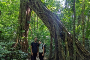 2D1N Cat Ba Insel Abenteuer: Viet Hai Dorf - Lan Ha Bucht