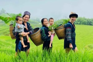 EXPLORE SAPA: 2D1N TREKKING & HMONG CULTURE WITH DINH