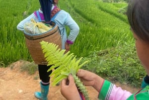 EXPLORE SAPA: 2D1N TREKKING & HMONG CULTURE WITH DINH