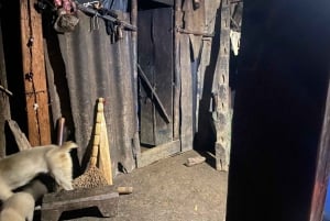 EXPLORE SAPA: 2D1N TREKKING & HMONG CULTURE WITH DINH