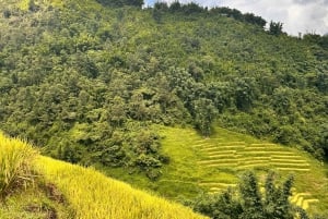 EXPLORE SAPA: 2D1N TREKKING & HMONG CULTURE WITH DINH