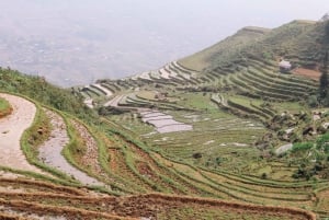 EXPLORE SAPA: 2D1N TREKKING & HMONG CULTURE WITH DINH