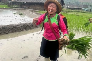 EXPLORE SAPA: 2D1N TREKKING & HMONG CULTURE WITH DINH