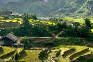 EXPLORE SAPA: 2D1N TREKKING & HMONG CULTURE WITH DINH