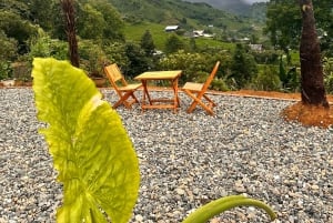 EXPLORE SAPA: 2D1N TREKKING & HMONG CULTURE WITH DINH