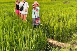 EXPLORE SAPA: 2D1N TREKKING & HMONG CULTURE WITH DINH