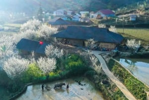 サパ発 3日間 バクハ＆バンフン バイクツアー