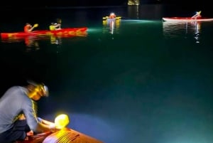 3 dias Descobre a mais deslumbrante ilha de Cat Ba - Baía de Lan Ha