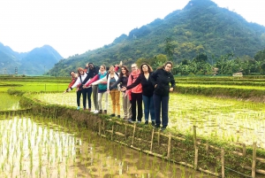 3-Daags Pu Luong natuurreservaat vanuit Hanoi, trektocht, plaatselijk leven