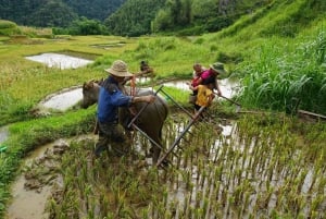 3-Daags Pu Luong natuurreservaat vanuit Hanoi, trektocht, plaatselijk leven