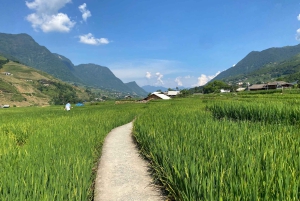 3-dagers Sa Pa-tur: Landsbyer, risterrasser og bambuskog