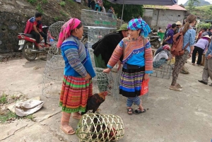 Hoàn Kiếm: 3-Day Sapa Trek Adventure Tour with Local Guide