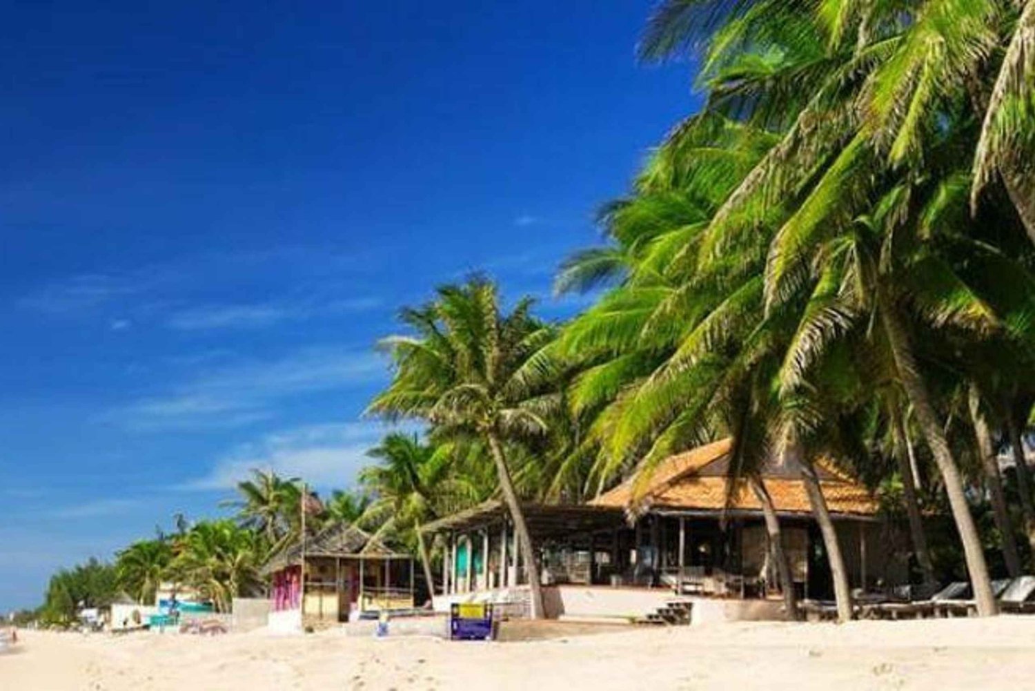 '3-Day Southern Vietnam Tour: Saigon, Mui Ne & Mekong'