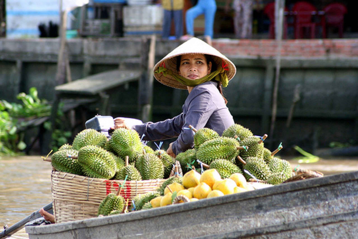 3-Day Tour of the Mekong Delta Region from Ho Chi Minh City
