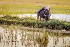 3-Hour Sunrise or Sunset Photography Tour in Hoi An