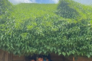 3 dagar och 2 nätter: Utforska Bao Loc City och Mui Ne Beach från HCM City