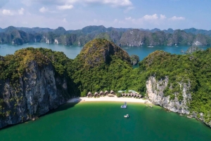 3 Tage/2 Nächte: Lan-Ha-Bucht, 5-Sterne-Kreuzfahrt, Insel Cát Bà, Schwimmen, Kajakfahren