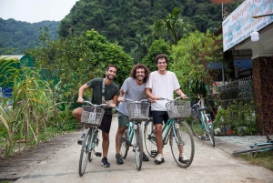 3D2N Lan Ha Bay med Calypso Cruises