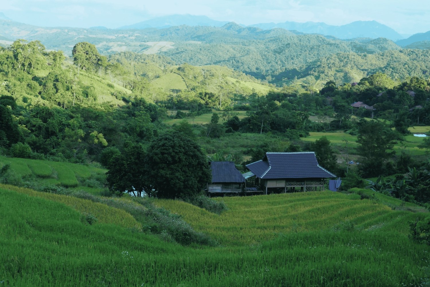 3D2N Mai Chau - Pu Luong van rijstvelden naar natuurreservaat