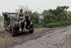 4-Hour Son Tra Peninsula Tour