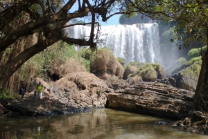 9-hour Dalat Outskirt Tour with 3 Stunning - Majestic falls