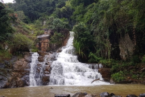 9-hour Dalat Outskirt Tour with 3 Stunning - Majestic falls