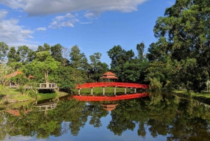 Adventure With The Zipline And Highwire Package From Hue